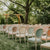 The Best Flasks for Outdoor Weddings and Events